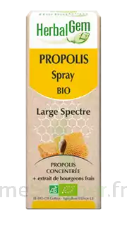 Herbalgem Propolis Large Spectre Solution Buvable Bio Spray/15ml à Muttersholtz